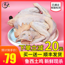 Peng Big Food buy one free one farmers native chicken strolling chickens on the same day slaughtered three yellow chicken native chicken feeding bag