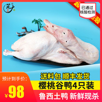Great Food Super-Worth Ex-gratia Loaded Duck Meat Whole Only Fresh 4000g Lean Meat Type Cherry Valley Duck Duck Meat