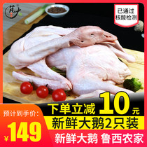 Peng big food Luxi farmhouse white goose goose whole fresh goose meat whole 2 feeding bag Shunfeng