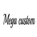 李俪灵童鞋Mega custom