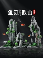 Аквариум, альпинарий, креативные водные растения для гостиной