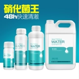 [消化菌硝化细菌鱼缸用净水剂养鱼用品鱼药水族水质淡水净化稳定剂]