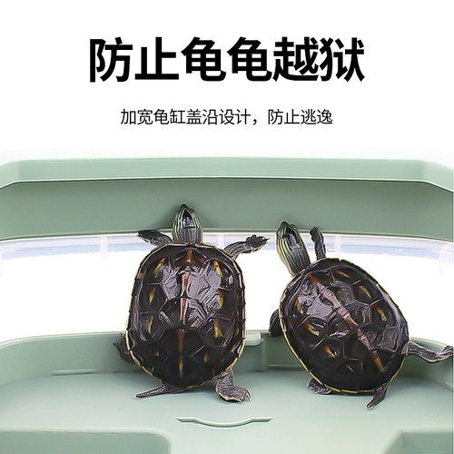 [乌龟缸带晒台造景别墅饲养箱家用鳄龟巴西龟养龟专用生态缸龟箱屋]