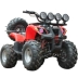 Bulls ATV 125cc xe đạp địa hình địa hình xe máy bốn bánh xe mô tô địa hình - Xe đạp quad