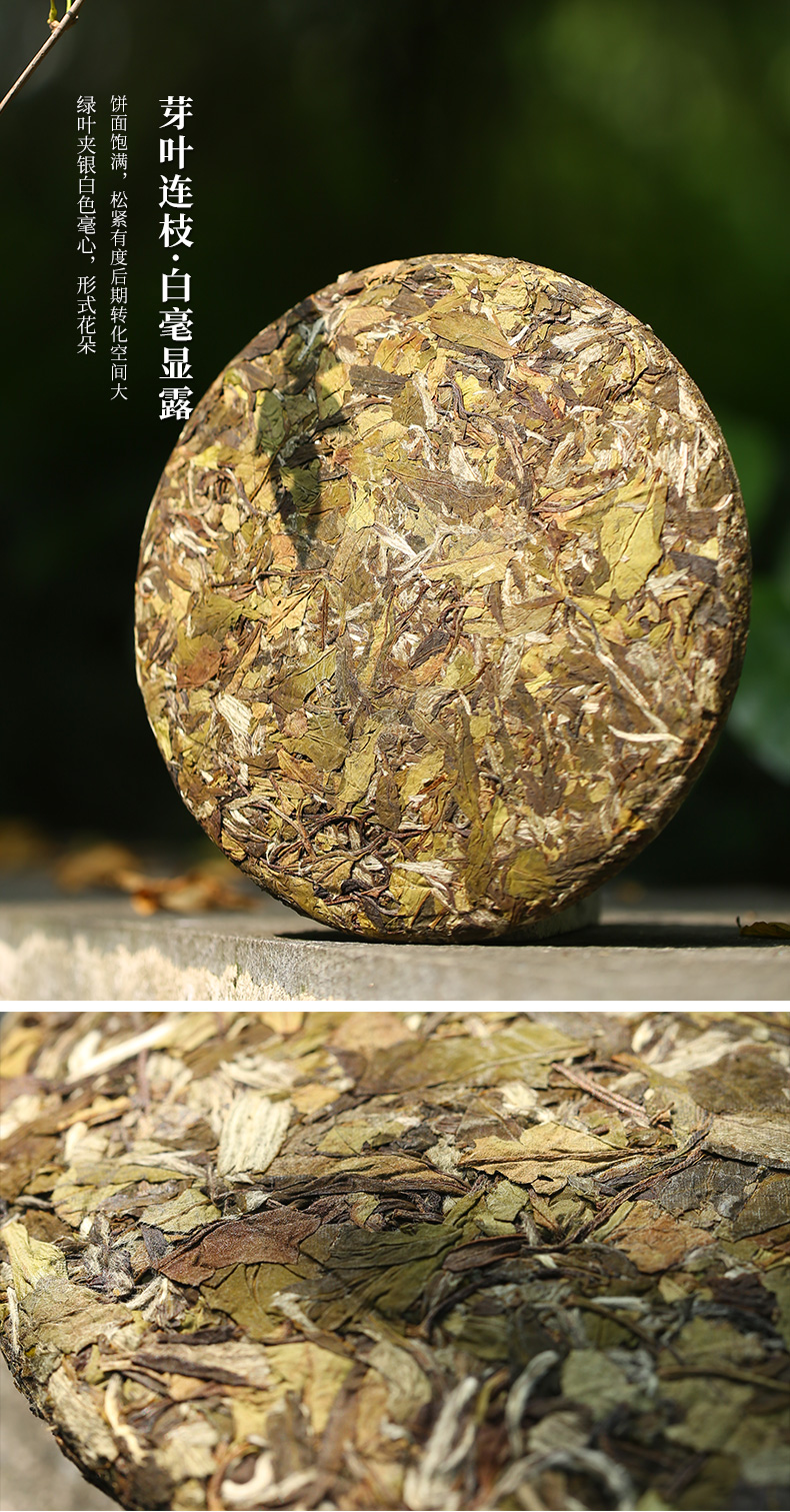 馥益堂 太姥神韵 白牡丹 福鼎白茶 300g 礼盒装 图7