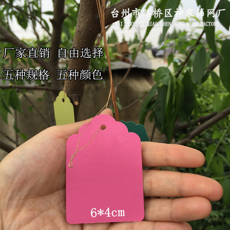 塑料标签园艺防水标签园艺植物标签育苗标签吊牌（带绳）