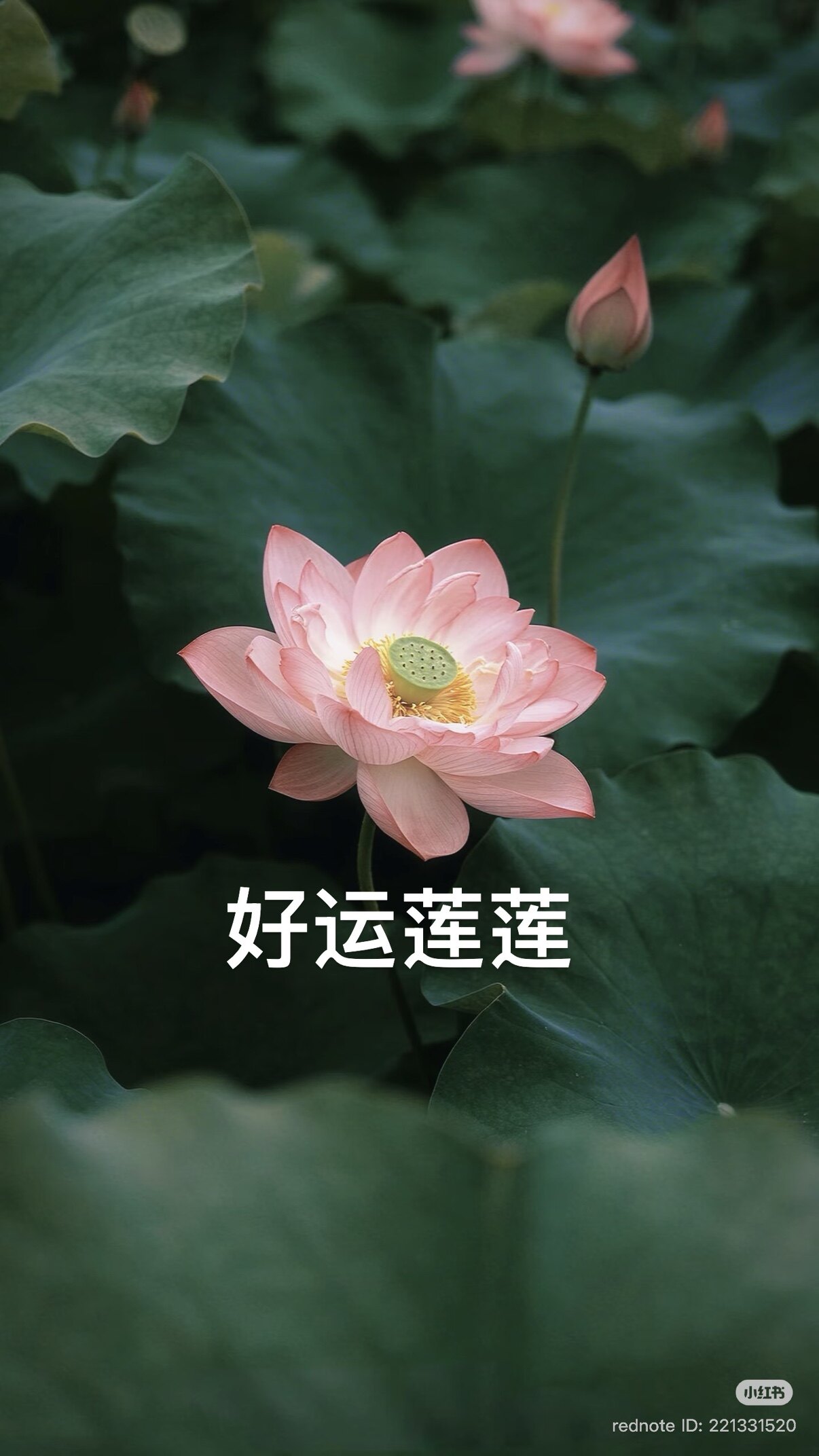 幻雀店