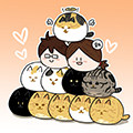 啪叽的猫咪杂货铺