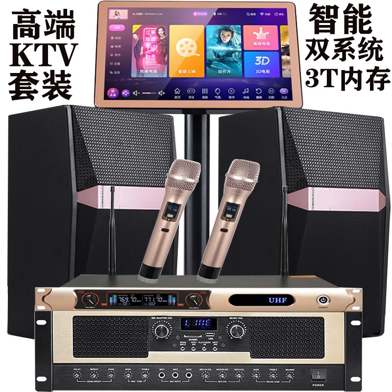 New products 510 Professional points singer Family 10 inch KTV Sound suit Karok Stage Carpack Conference speaker