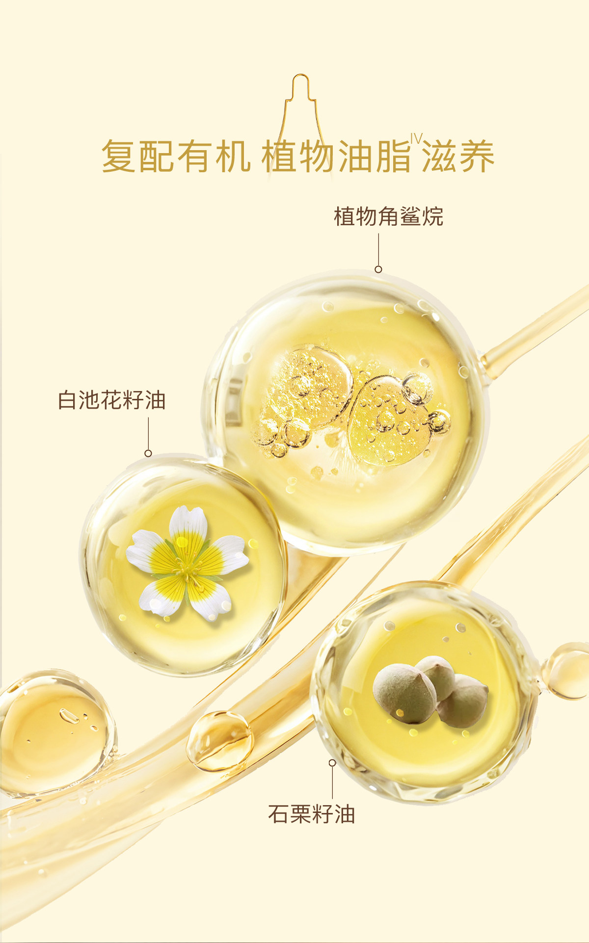 【中国直邮】 德国 天露芬 眼部精华油 15ml 【改善眼周干纹黑眼圈】有机 Revinage 淡细纹紧致 淡化眼袋暗沉 温和不刺激 紧致眼周抗老