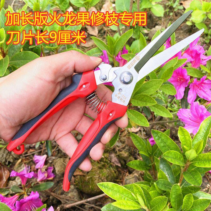 Imported stainless steel rare fruit scissors to fix Japanese floral cut trim flower shears Home sanitation worker flowers trim