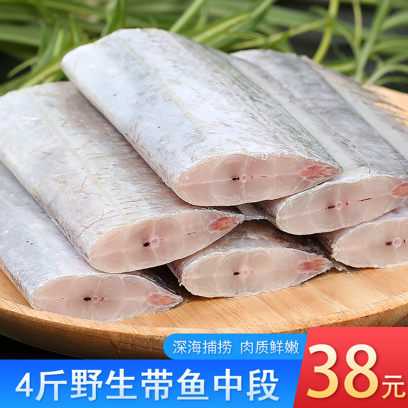 Fish section Middle section Fish section Deep sea fishing Fresh frozen head to tail seafood Aquatic knifefish section