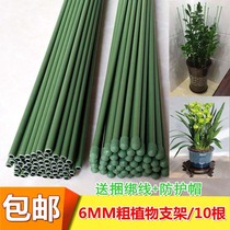 Flower-raising styling supporting pole plant armchair flower insertion lever money tree green planting turtle back bamboo heaven bird pillar hollow tube