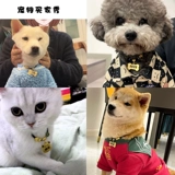 Чокер, защитный декор, делается под заказ