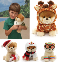 American GUND Itty Bitty Boo Pomeranian stuffed toy doll Shunsuke dog doll 9 inches