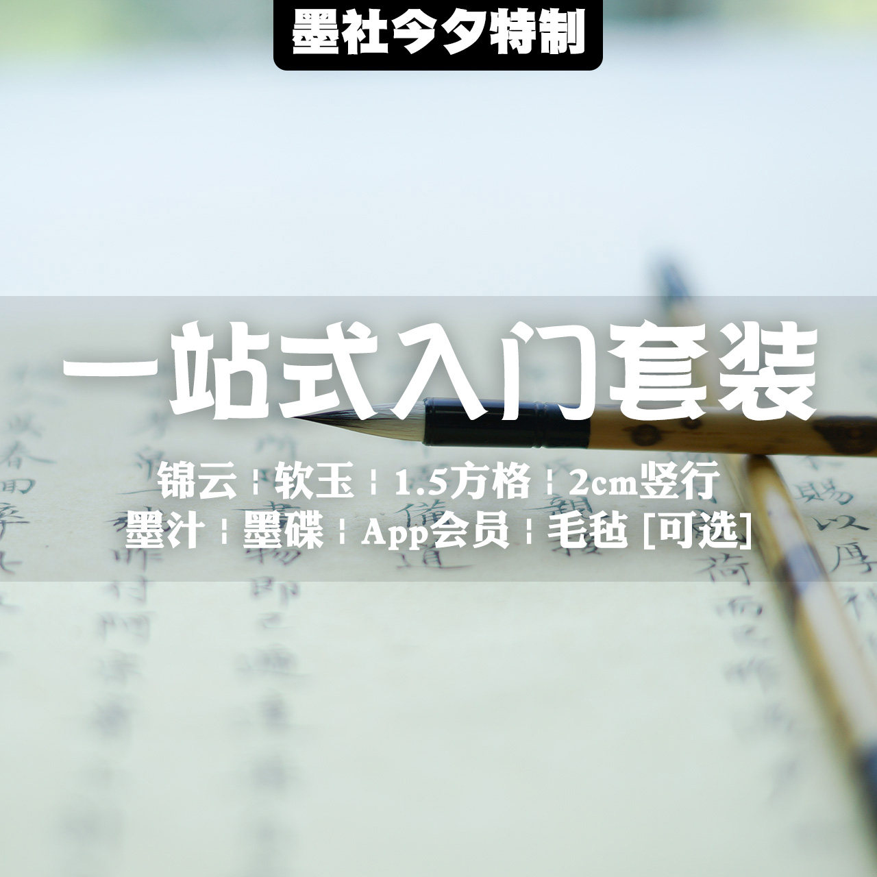 Ink Club Novice suit pen, ink, paper felt, lower case pen, soft jade checkered edge paper, light glue, ink felt, optional