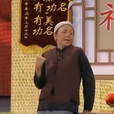 宋丹丹2007春晚