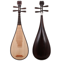 Large-leaf rosewood adult pipa instrument Ximu Lushi black rosewood professional performance examination piano manufacturer direct sales