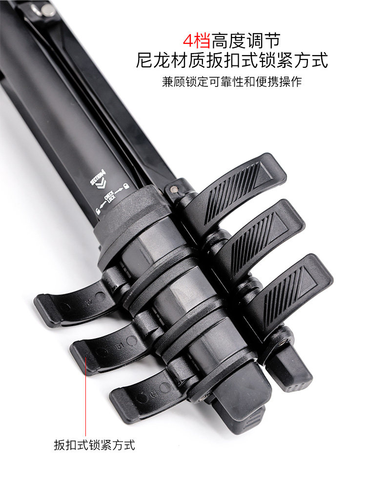 O1CN01pDwk431D1UhLzD64U !!32790156