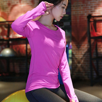 Color sports AD slim beauty back protector quick-drying breathable fitness long-sleeved T-shirt Yoga outdoor running top for women