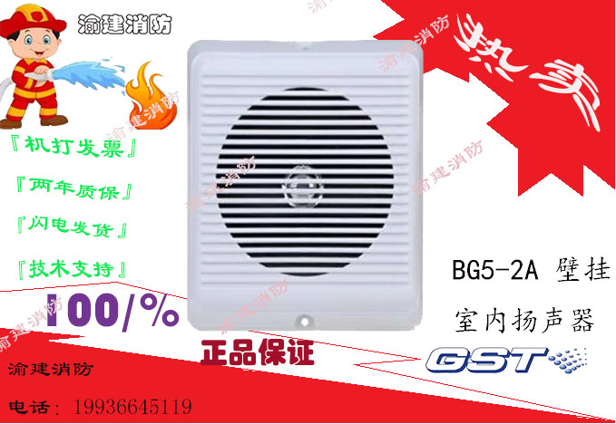 Gulf BG5-2A Wall Mount Indoor Speaker