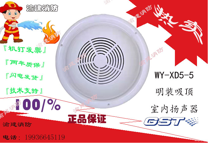 Bay WY-XD5-5 Ming-fit suction top indoor speaker