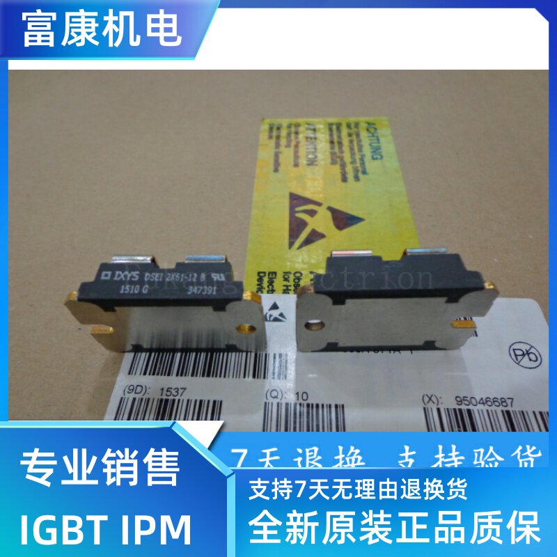 New original DSEI2X101-12A DSEI2X61-12B DSEI2X101-06A spot