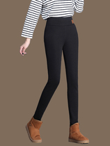 Autumn and winter 2022 new gush thickened warm high waist elastic small footpants Mom casual display slim 100 lap bottom pants
