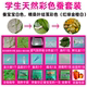 Silkworm student student silkworm raising set silkworm eggs silkworm eggs silkworm eggs colorful silkworm spring silkworm live larvae mulberry leaves fresh