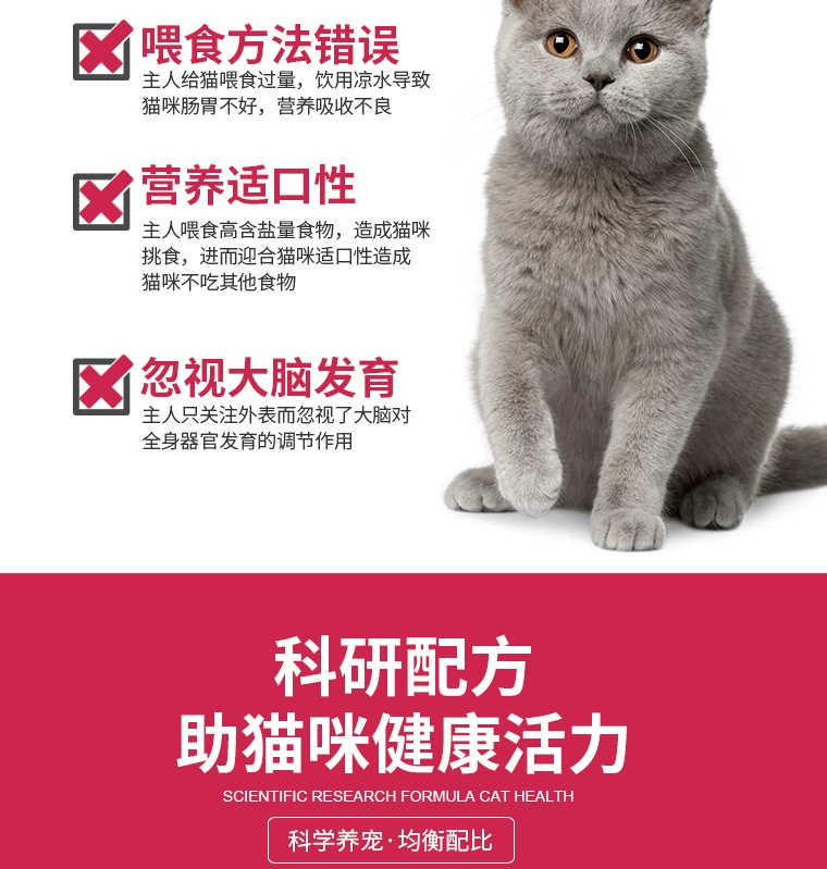 Mua một tặng một con mèo miễn phí kem dưỡng tóc đặc biệt kem dưỡng lông cho thú cưng - Cat / Dog Health bổ sung