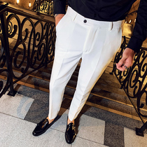 Men's Falling White Suit Pants 2022 New Spring Autumn Straight Long Business Pants Men's Slim Fit Casual Pants