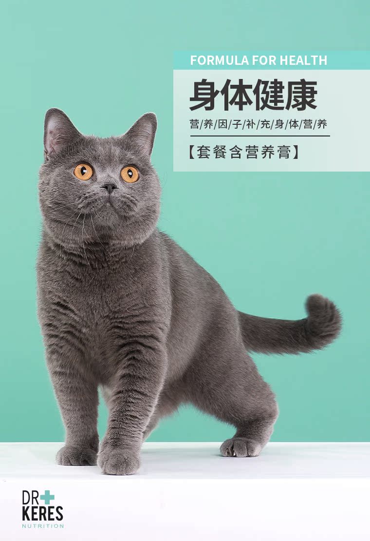 Kai Ruisi chức năng mèo ăn nhẹ gói snack snack thịt bò giăm bông xúc xích kem dinh dưỡng lecithin 靓 tóc - Đồ ăn nhẹ cho mèo Review các loại hạt cho mèo