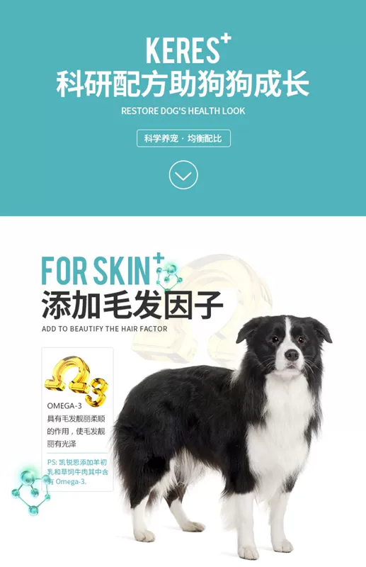 Kai Ruisi Jinmao Alaska Labrador thức ăn cho chó chó lớn chó con loại trưởng thành 10kg20 kg - Chó Staples thức ăn cho poodle