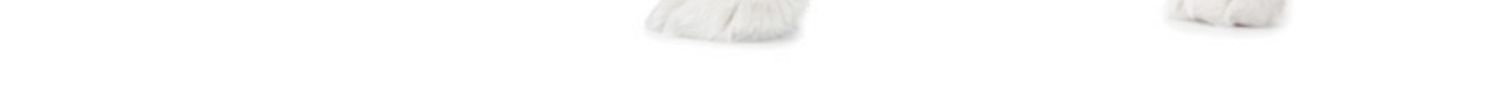 Kai Ruisi Samoyed thức ăn cho chó con chó con đặc biệt lớn bổ sung canxi cho chó 2-3-6-10 tháng chó con 8 kg - Chó Staples thức ăn cho chó mẹ sau sinh