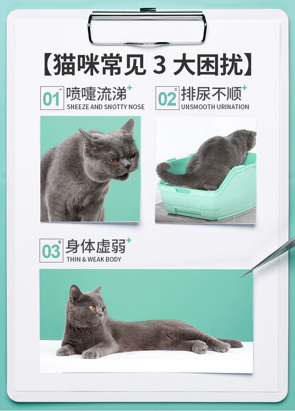Mèo Kai Ruisi với nước mũi 6 múi gói chăm sóc sức khỏe ho lạnh để tăng cường miễn dịch - Cat / Dog Health bổ sung