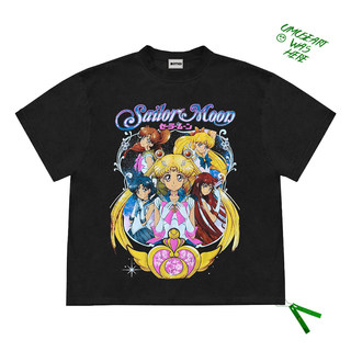 Memory of the Twist Sailor Moon anime