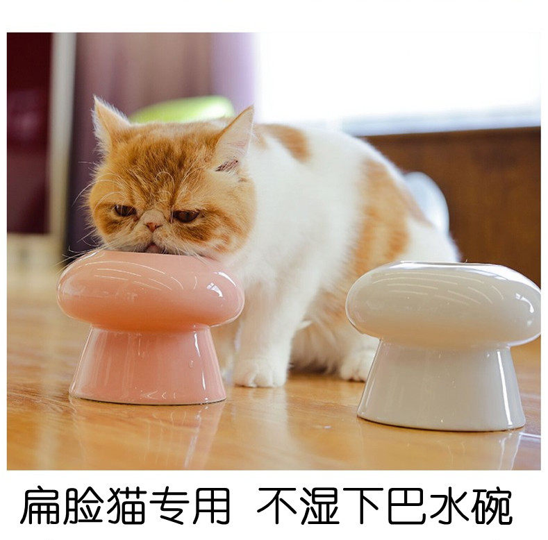 Anti-wet mouth water bowl does not wet the chin belly flat face pet Garfield special flat face bowl method Dou Persian drinking water bowl