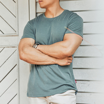 Alpha High Texture Pure Color T-shirt Man Summer New Perspiration Quick Dry 100 Lap Casual Sports Training Short Sleeves