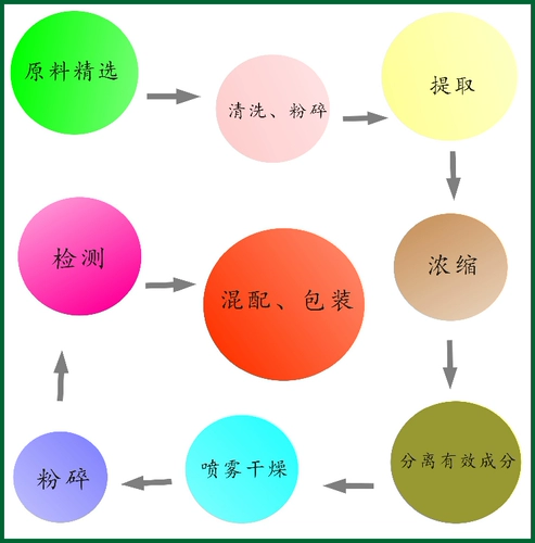 Профессиональная запас зеленого кофейного фасолика экстракта 100 г высококачественных продуктов Бесплатная доставка скидка нового продукта.