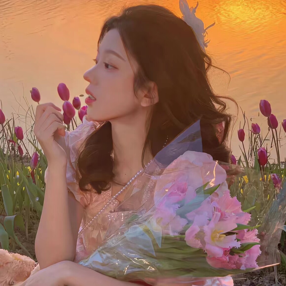 小杨没烦恼