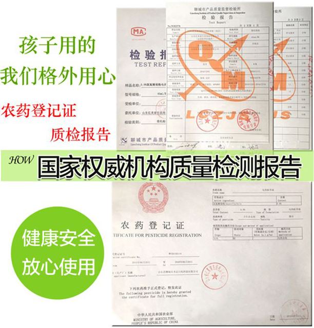 Ký túc xá cung cấp cô gái cung cấp thực tế tẩy giun nhân tạo chống muỗi lỏng chống muỗi tạo tác phòng ngủ chống muỗi cắm bình xịt gián hiệu quả
