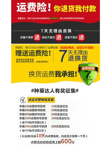 Лонгслив, осенняя демисезонная футболка, приталенный флисовый корсет, круглый воротник, на шнурках