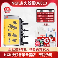 C4/C5/Triumph/SEGA 2.0L