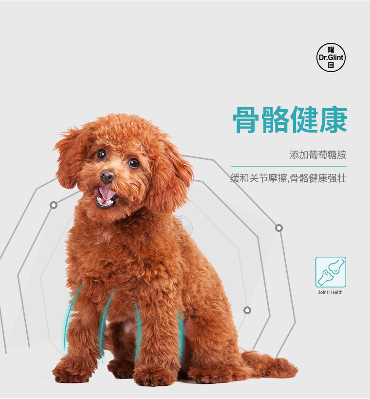Dazzling Pet Dog Đào tạo Phần thưởng Đồ ăn nhẹ Canxi Thịt bò Hạt Teddy Golden Retriever Puppy Chó nhỏ Spree - Đồ ăn vặt cho chó hạt natural core