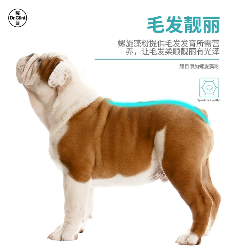 Chói mắt Anh chiến đấu thức ăn chó con chó con chó trưởng thành đặc biệt Anh chó bul thực phẩm đặc biệt chó nhỏ rơi nước mắt 40 kg - Chó Staples