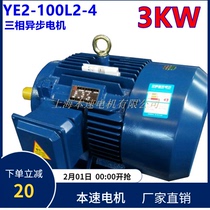 YE2 series three-phase asynchronous motor YE2-100L2-4 3KW 4-pole three-phase asynchronous motor Shanghai