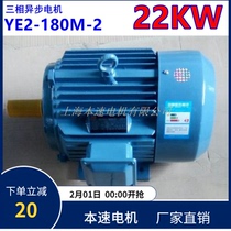 YE2 series three-phase asynchronous motor YE2-180M-2 22KW 2-pole three-phase asynchronous motor motor
