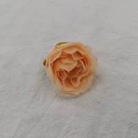 Глубокий абрикос