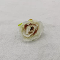 Фиолетовое дно