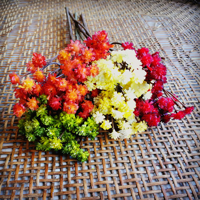 Sen DIY handmade headdress semi-finished wedding baby's breath star fleshy wreath material photo core baby's breath star